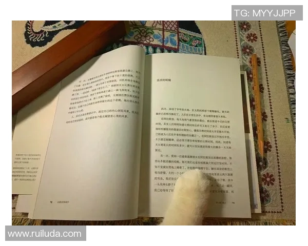 在陌冷的世界里寻找温暖与希望的旅程